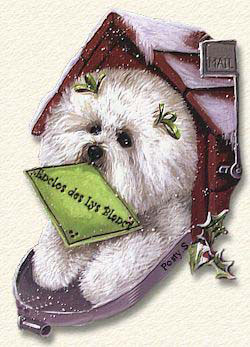 bichon