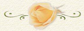 fleur jaune
